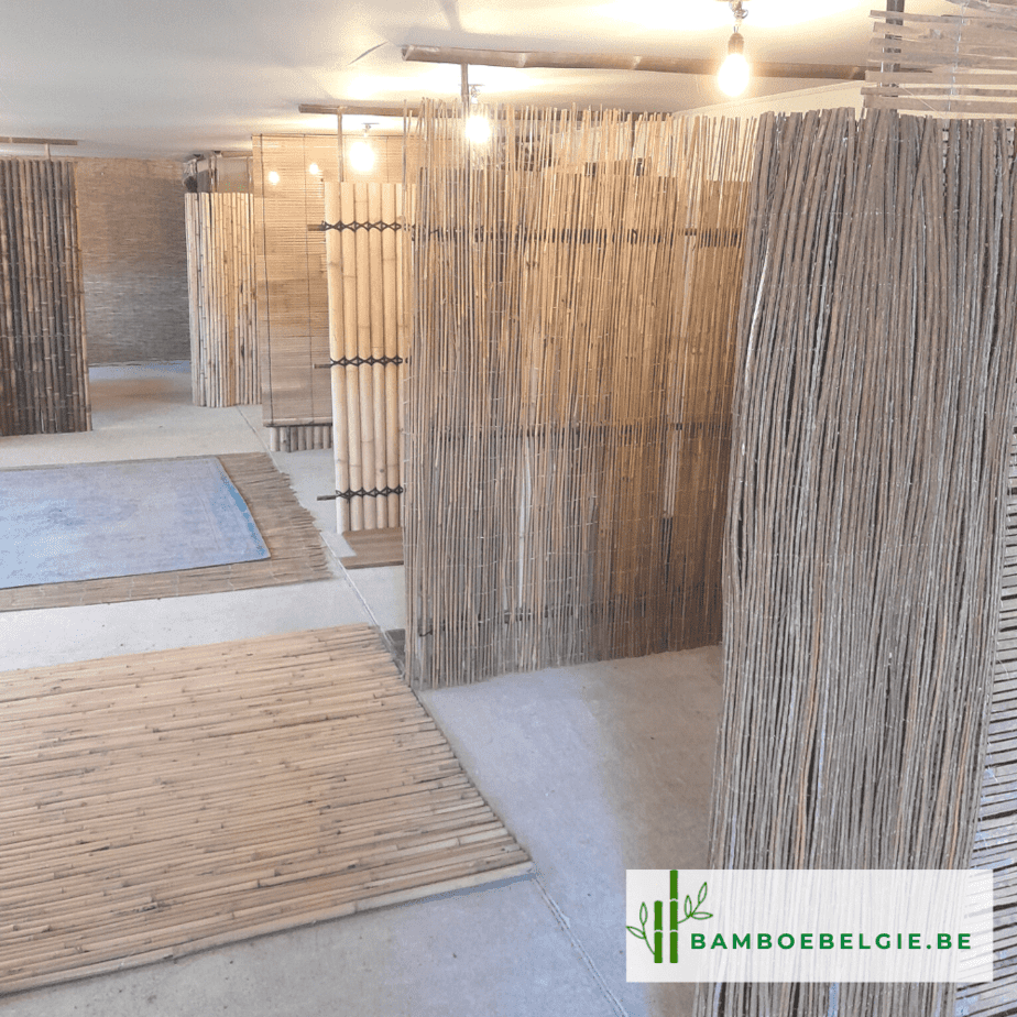 Bamboe toonzaal - Bamboe België