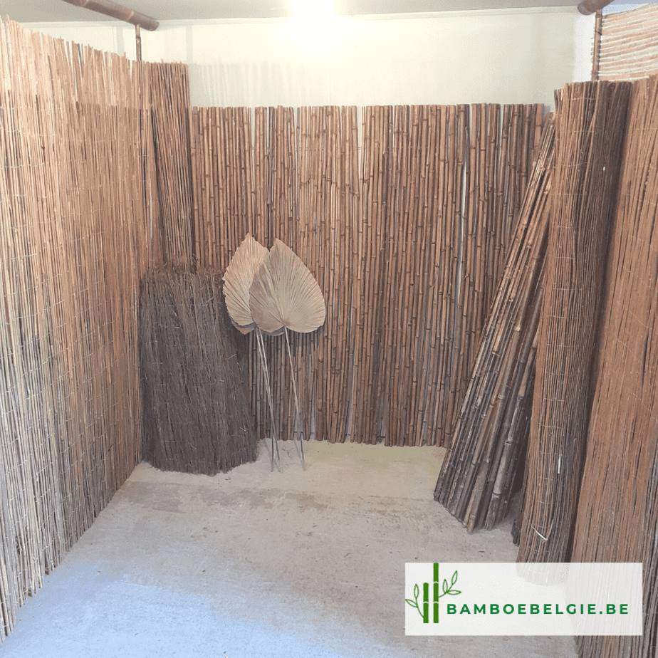 Bamboe toonzaal - Bamboe Belgie