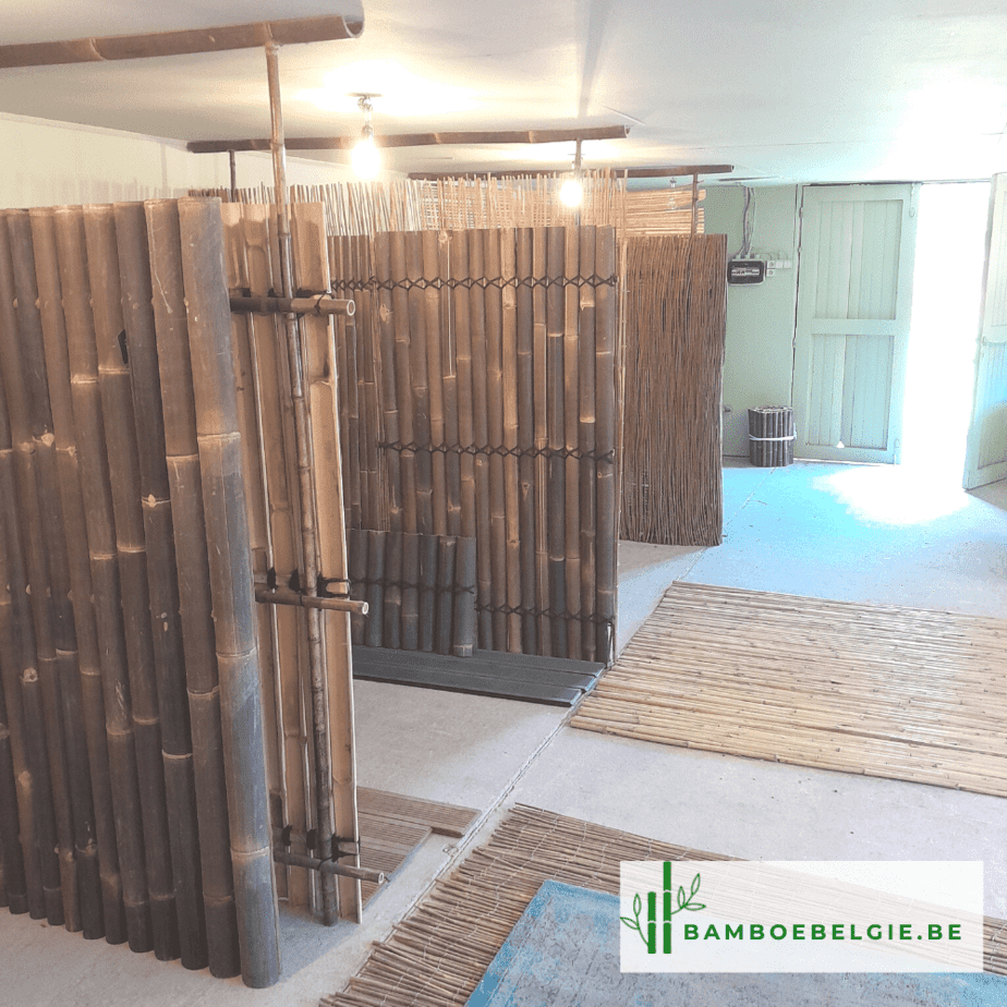 Bamboe toonzaal - Bamboe Belgie