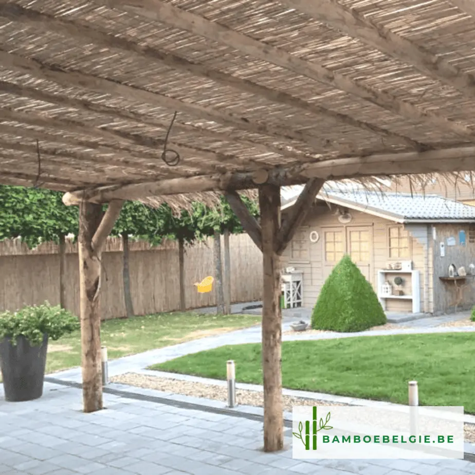 rietdak op pergola - Bamboe België
