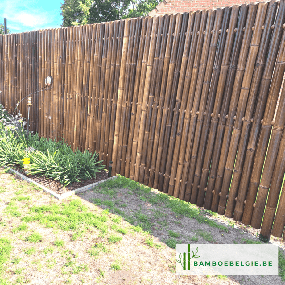 renoveren bamboeschermen - Bamboe België