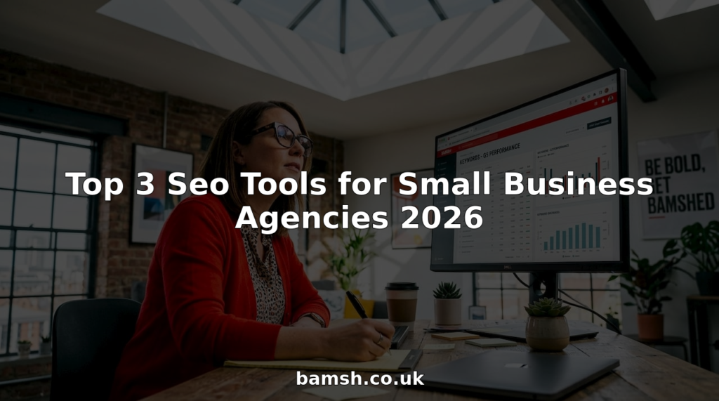 SEO tools checks