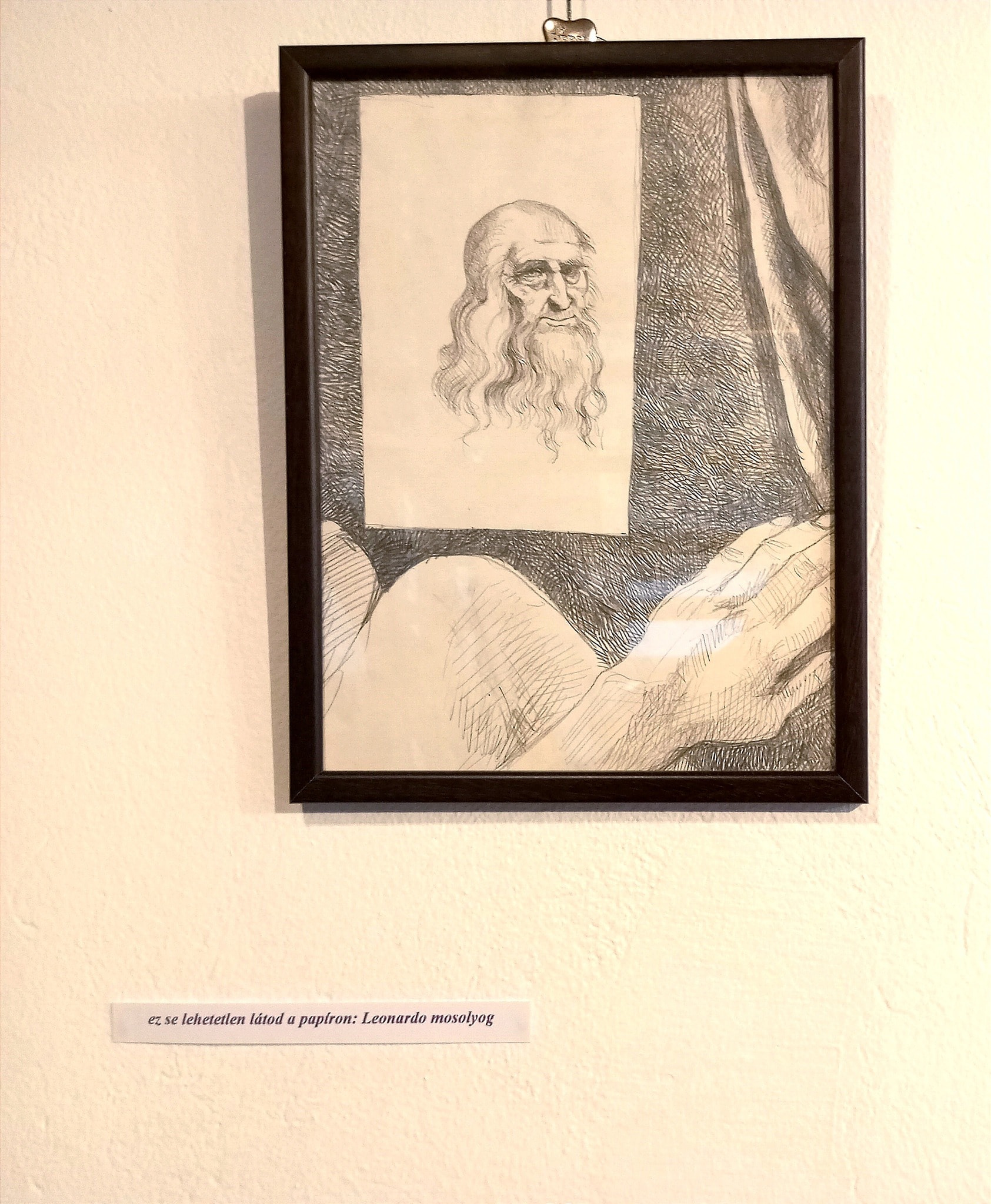 Leonardo mosolygott Budán 1 Leonardo mosolygott Budán