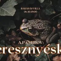 Anton Pavlovics Csehov: CSERESZNYÉSKERT