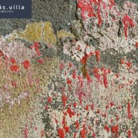 Károlyi Katalin fotókiállításának megnyitója