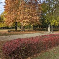 Önkormányzati képviselők a Városmajorért