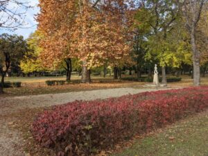 Önkormányzati képviselők a Városmajorért