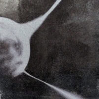 Deák Dorottya és Tóth-Heyn Áron // Két nap Budapest / In Presence megnyitó