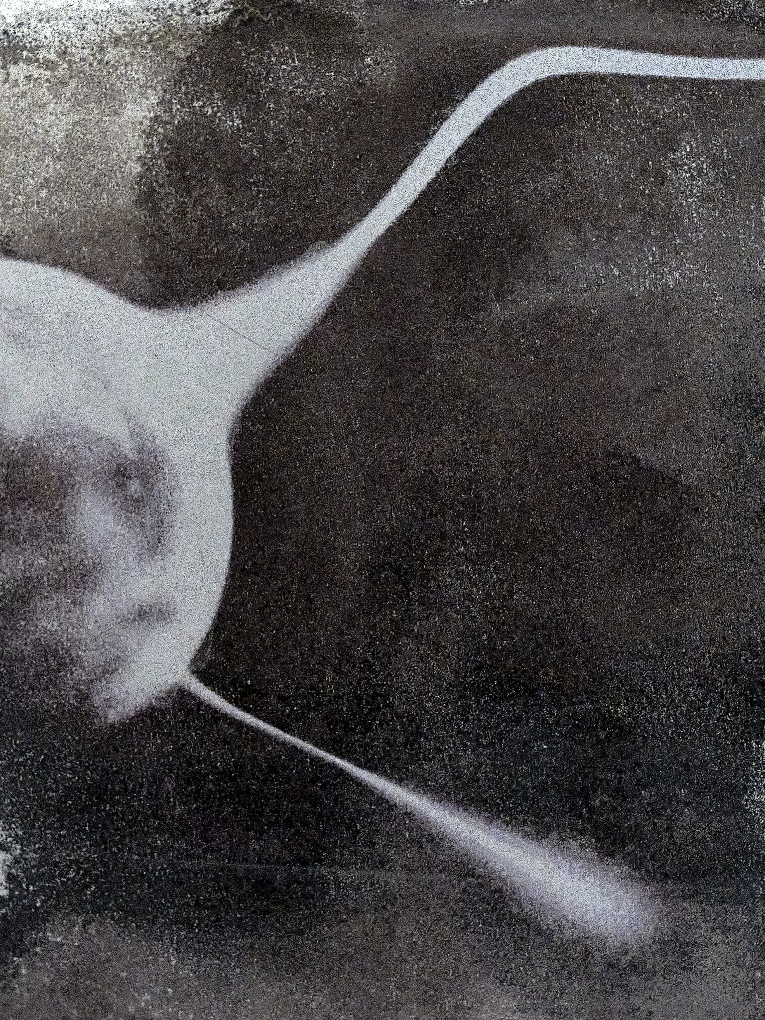 Deák Dorottya és Tóth-Heyn Áron // Két nap Budapest / In Presence megnyitó