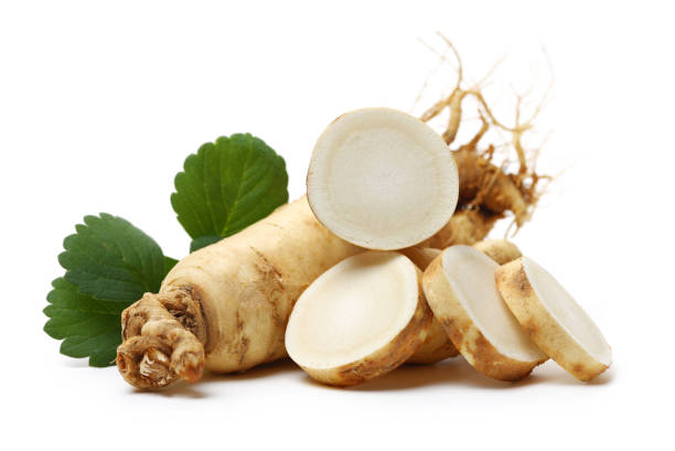 Panax Ginseng