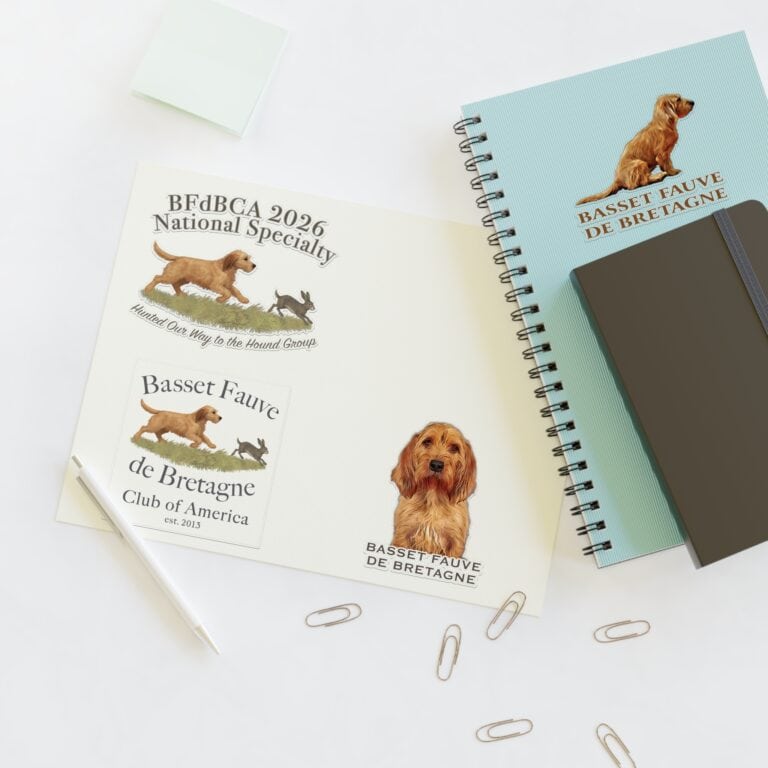 Basset Fauve de Bretagne notebooks and paper clips.