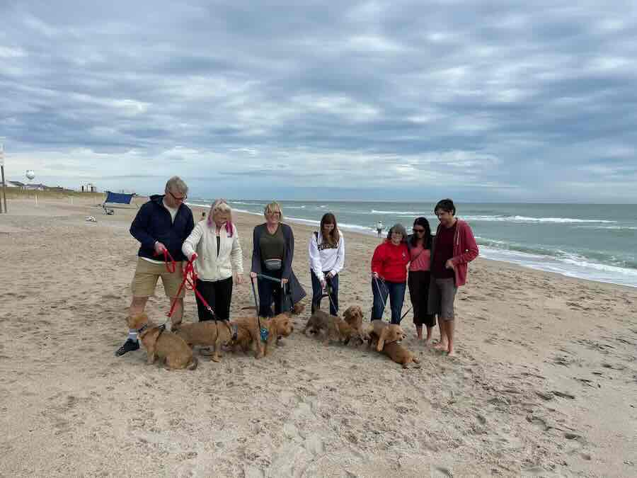 Group with dogs on beach under cloudy sky.