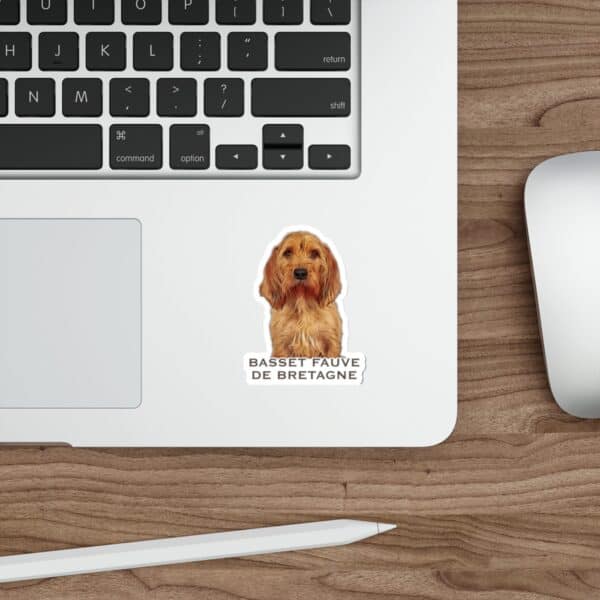 Basset Fauve de Bretagne sticker on laptop