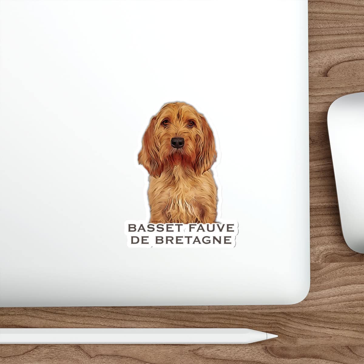 Basset Fauve de Bretagne sticker on laptop.