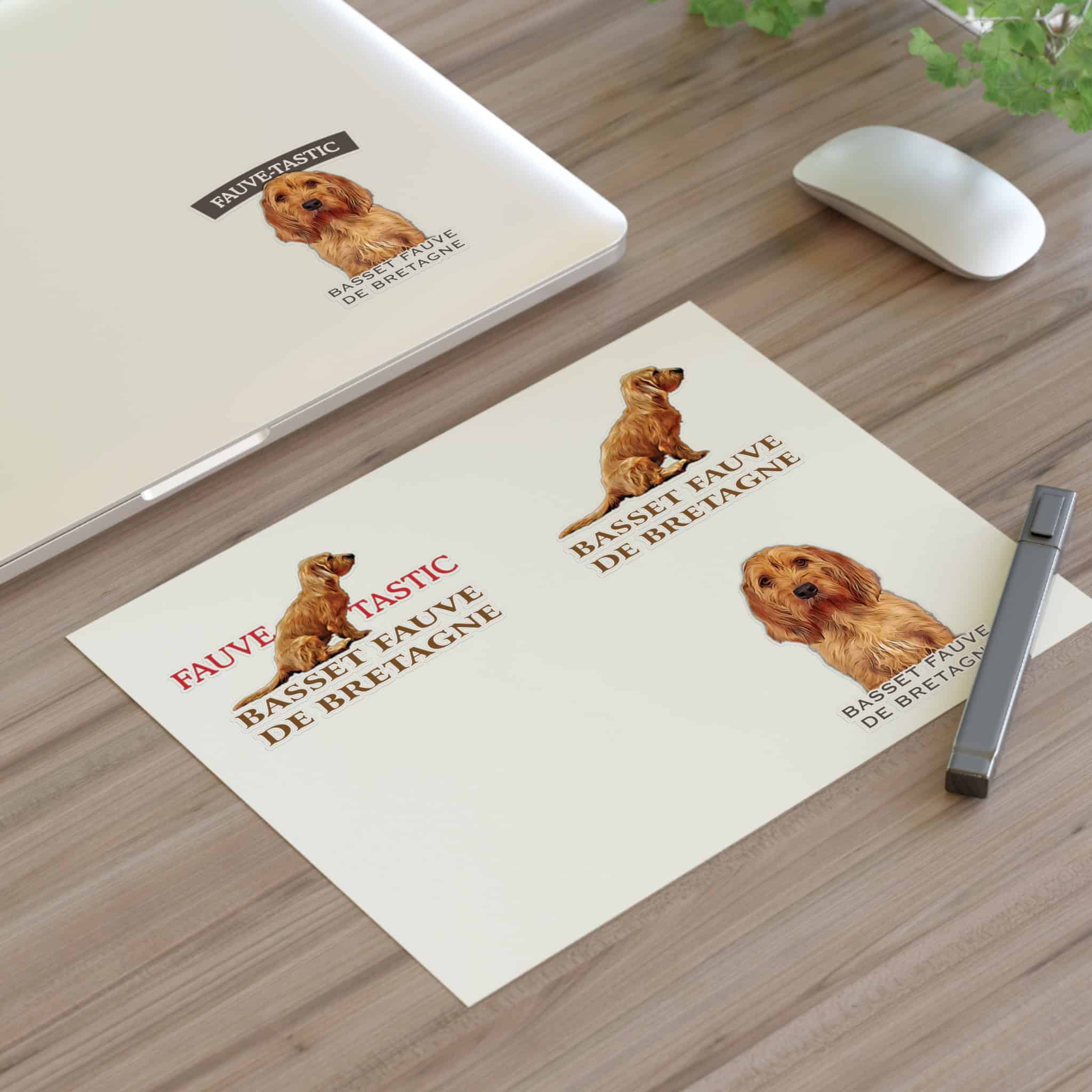 Basset Fauve de Bretagne stickers on desk