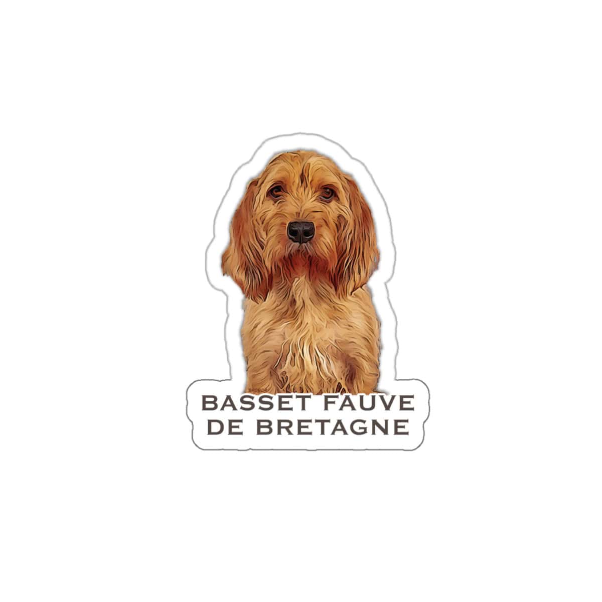 Basset Fauve de Bretagne graphic illustration