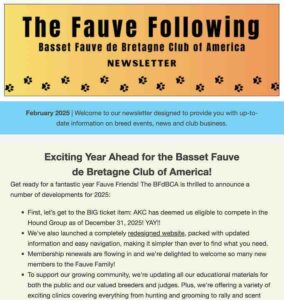 Basset Fauve Club newsletter, February 2025.