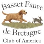 Basset Fauve dog chasing rabbit, club logo