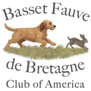 Basset Fauve dog chasing rabbit, club logo