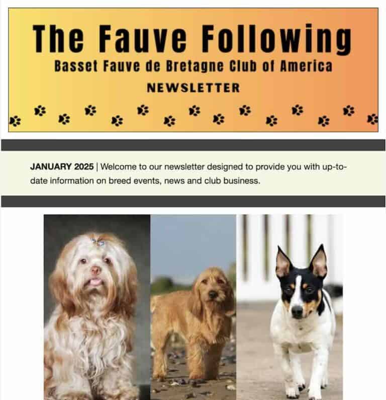 Basset Fauve newsletter with three dogs featured.