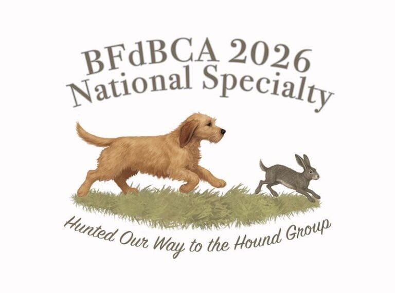 BfdBCA 2026 dog and rabbit illustration