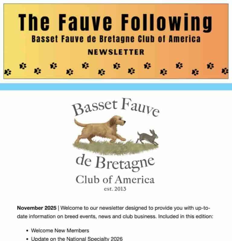 Basset Fauve de Bretagne newsletter November 2025 highlights.