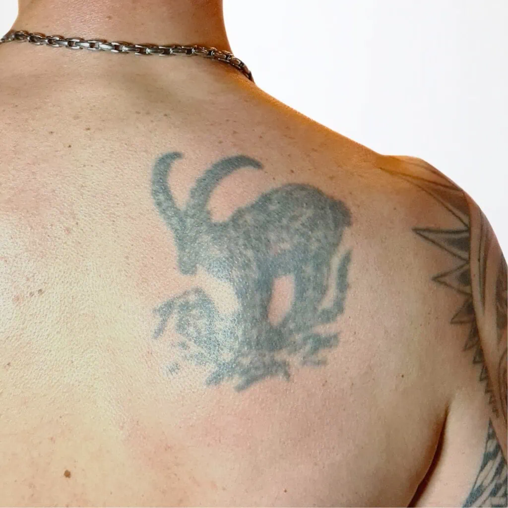 Verblasstes Steinbock Tattoo am Rücken – Motiv vor dem Touch-Up, gestochen in Widnau.