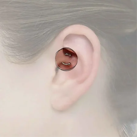 Detailreiches Daith-Piercing, gelegen in der inneren Knorpelfalte des Ohrs, betont mit einem kunstvollen Hufeisenring, der einen Hauch von Raffinesse verleiht.