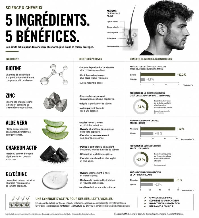 Infographie des bienfaits des ingrédients pour shampoing homme : biotine, zinc, aloe vera