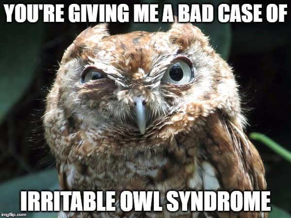 Photo of an owl saying irritable owl syndrome , a play on words for irritable bowl syndrome