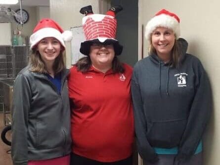 Myself and my veterinary medicine colleagues standing in a veterinary treatment area with kennels in the back wearing hats for Christmas. 