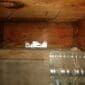 IMG_1437 85x85