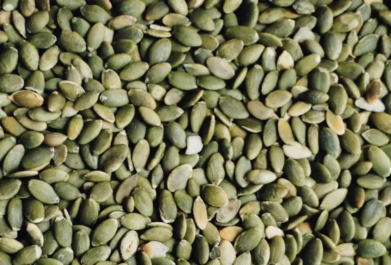 Pumpkin Seeds