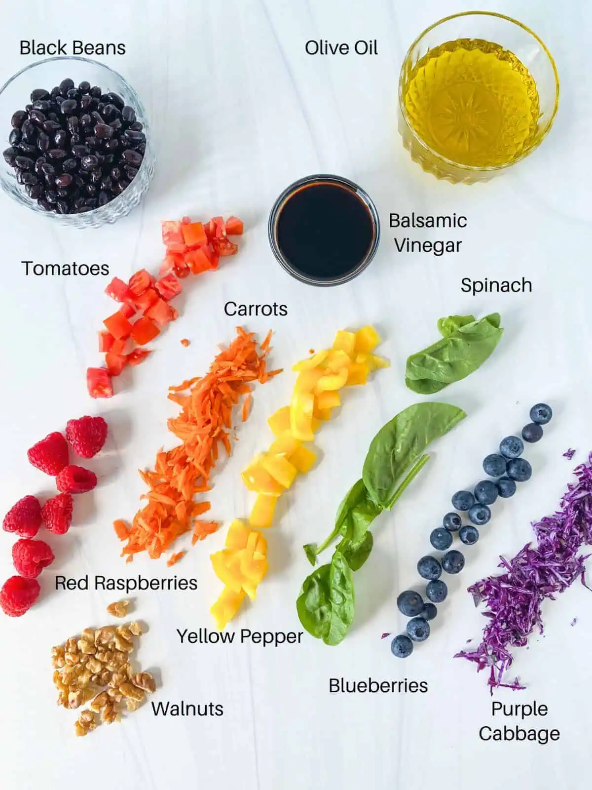Ingredients for rainbow salad and blueberry balsamic dressing.