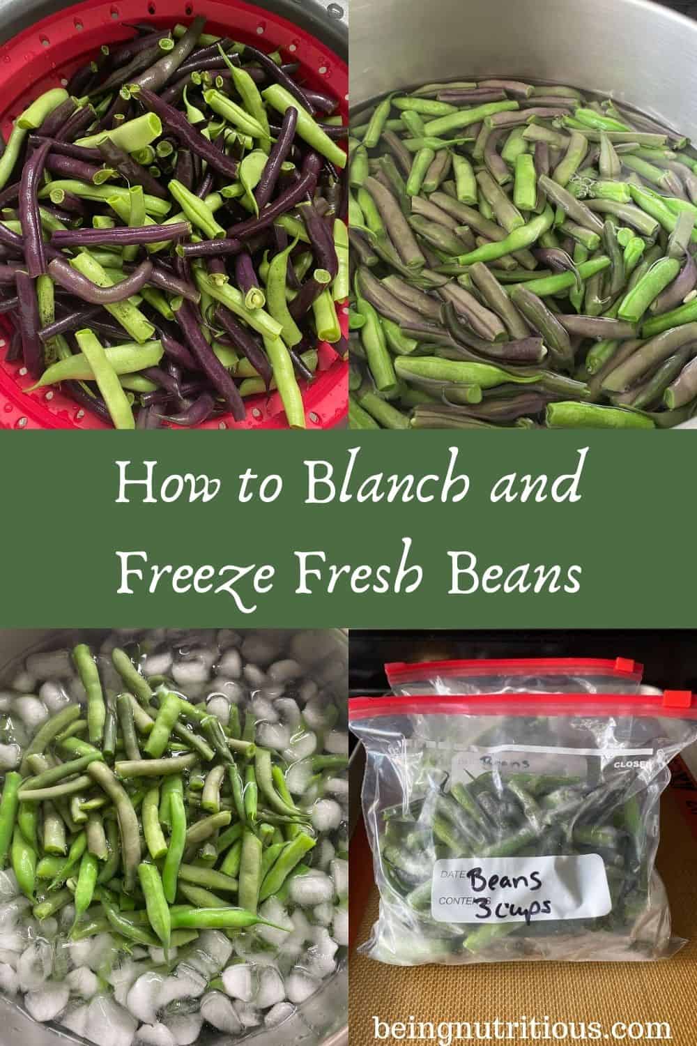 4 images: first is fresh beans, second is beans in boiling water, 3rd is blanched beans in ice bath, and 4th is frozen beans in zipper bags. Text overlay in green rectangle: How to Blanch and Freeze Fresh Beans.