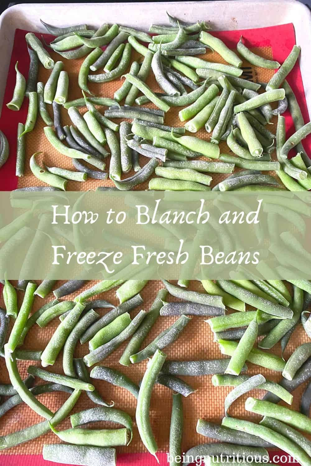 Frozen beans on a cookie sheet. Text overlay in a translucent green rectangle: How to Blanch and Freeze Fresh Beans.