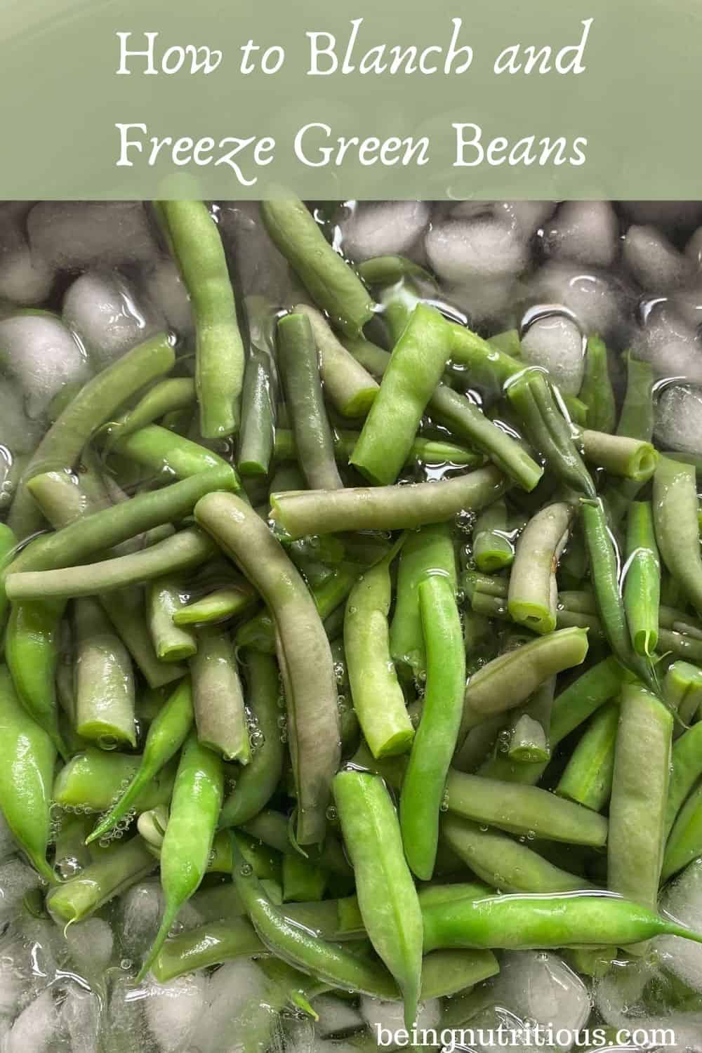 Blanched beans in an ice bath. Text overlay in a translucent green rectangle: How to Blanch and Freeze Fresh Beans.