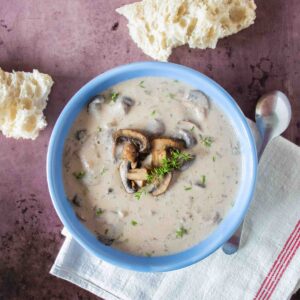 Overhead picture of a bowl of creamy mushroom soup.