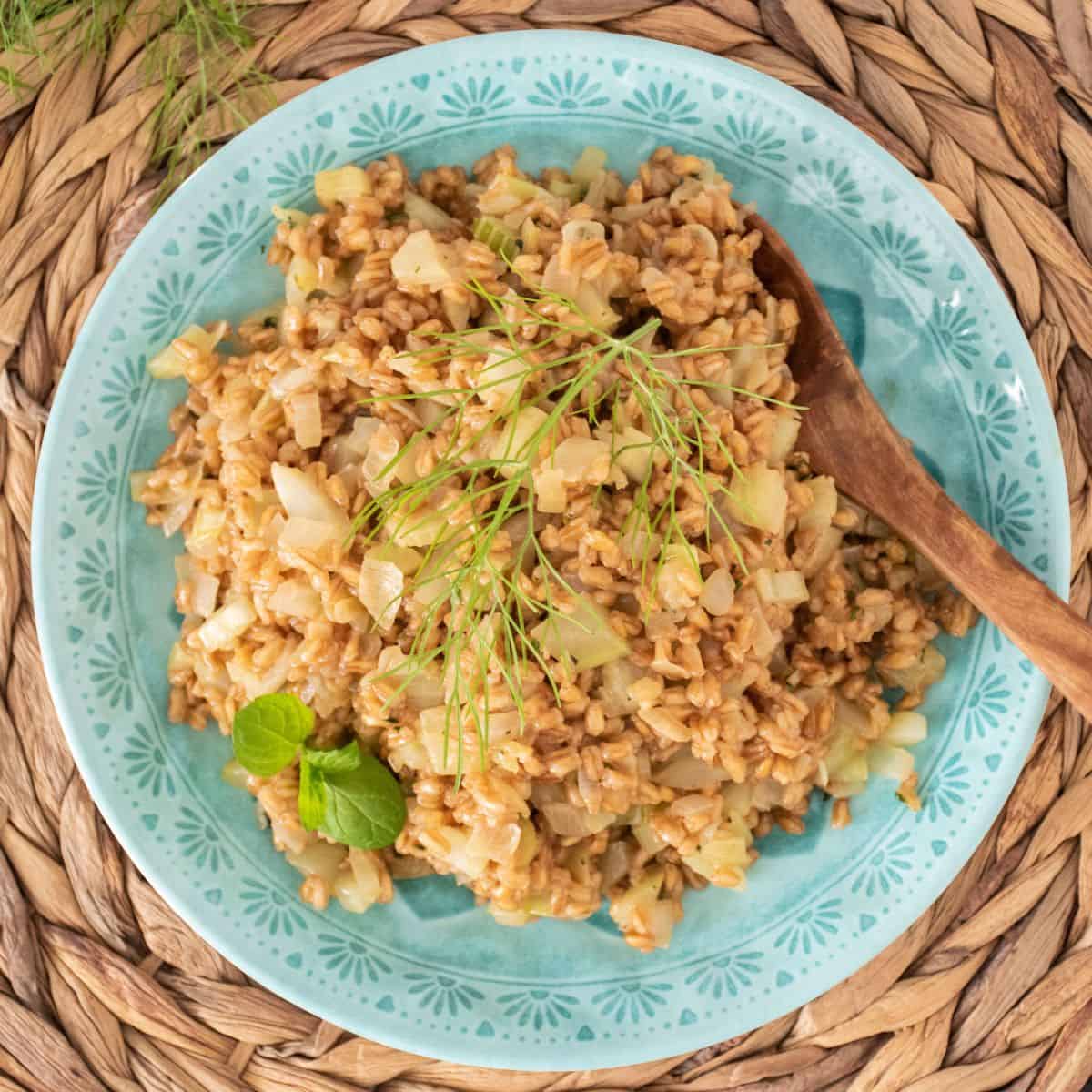 A plate with farro pilaf on it, ready for serving, garnished with fresh mint and a fennel frond.