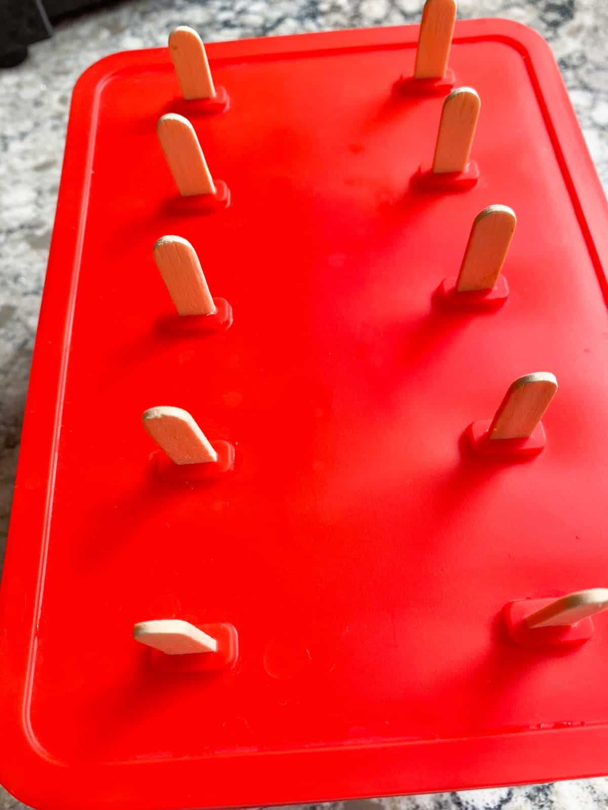 Popsicle sticks inserted into molds.