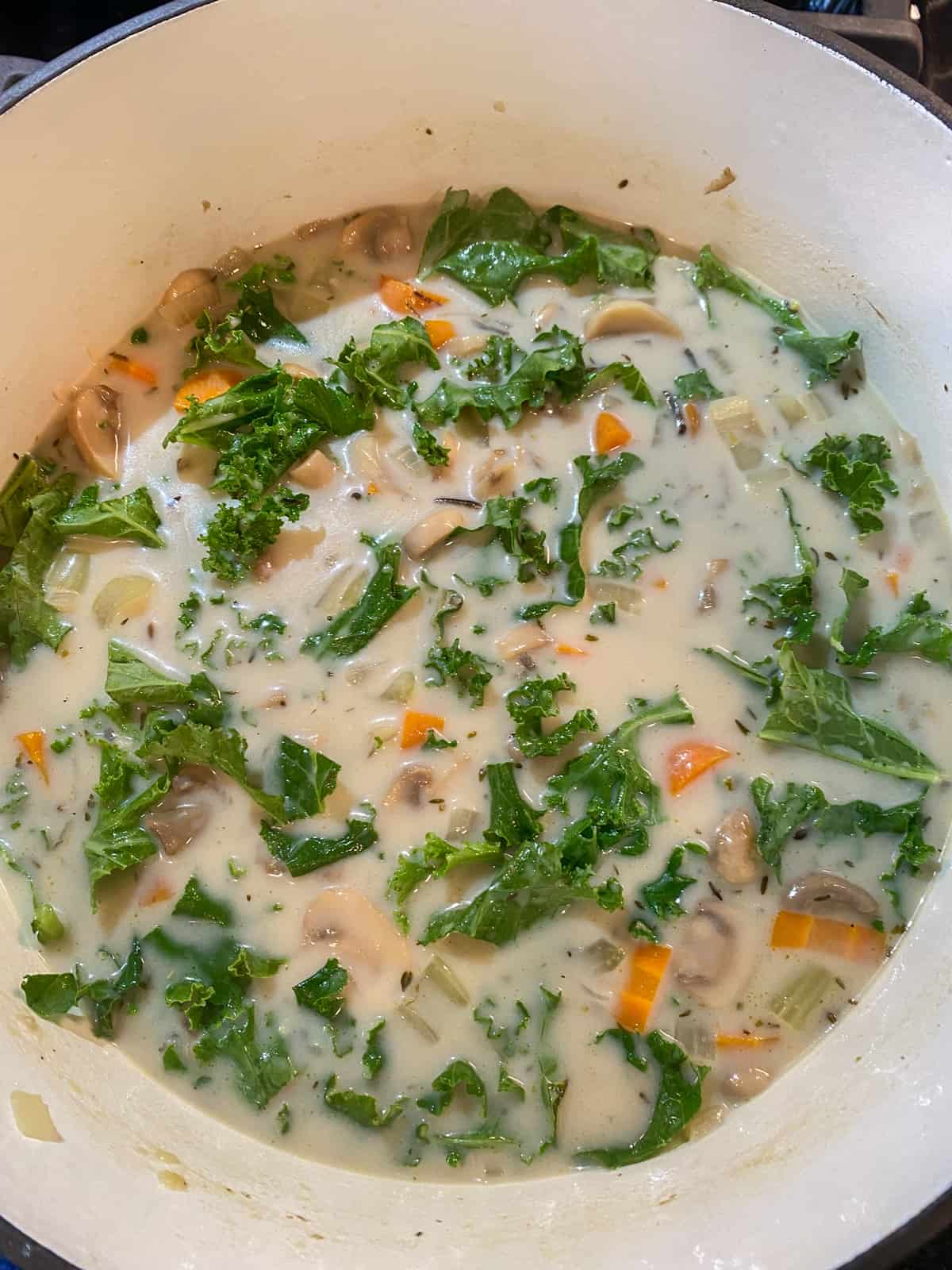 Creamy mushroom soup with kale, finished.
