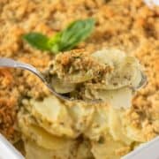 Spoonful of herb scalloped potatoes being held up, with the baking dish of potatoes in the background.