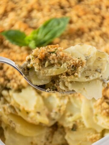 Spoonful of herb scalloped potatoes being held up, with the baking dish of potatoes in the background.
