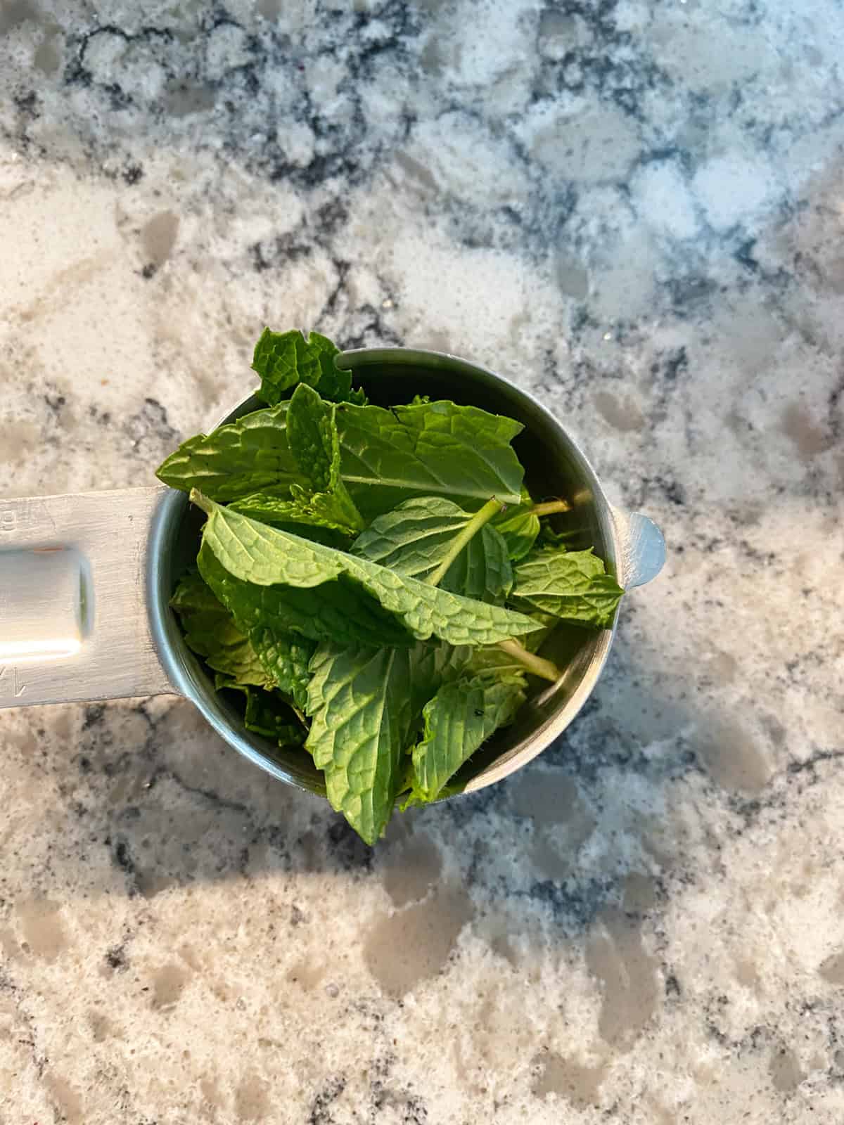 Measuring cup of loosely packed mint leaves.