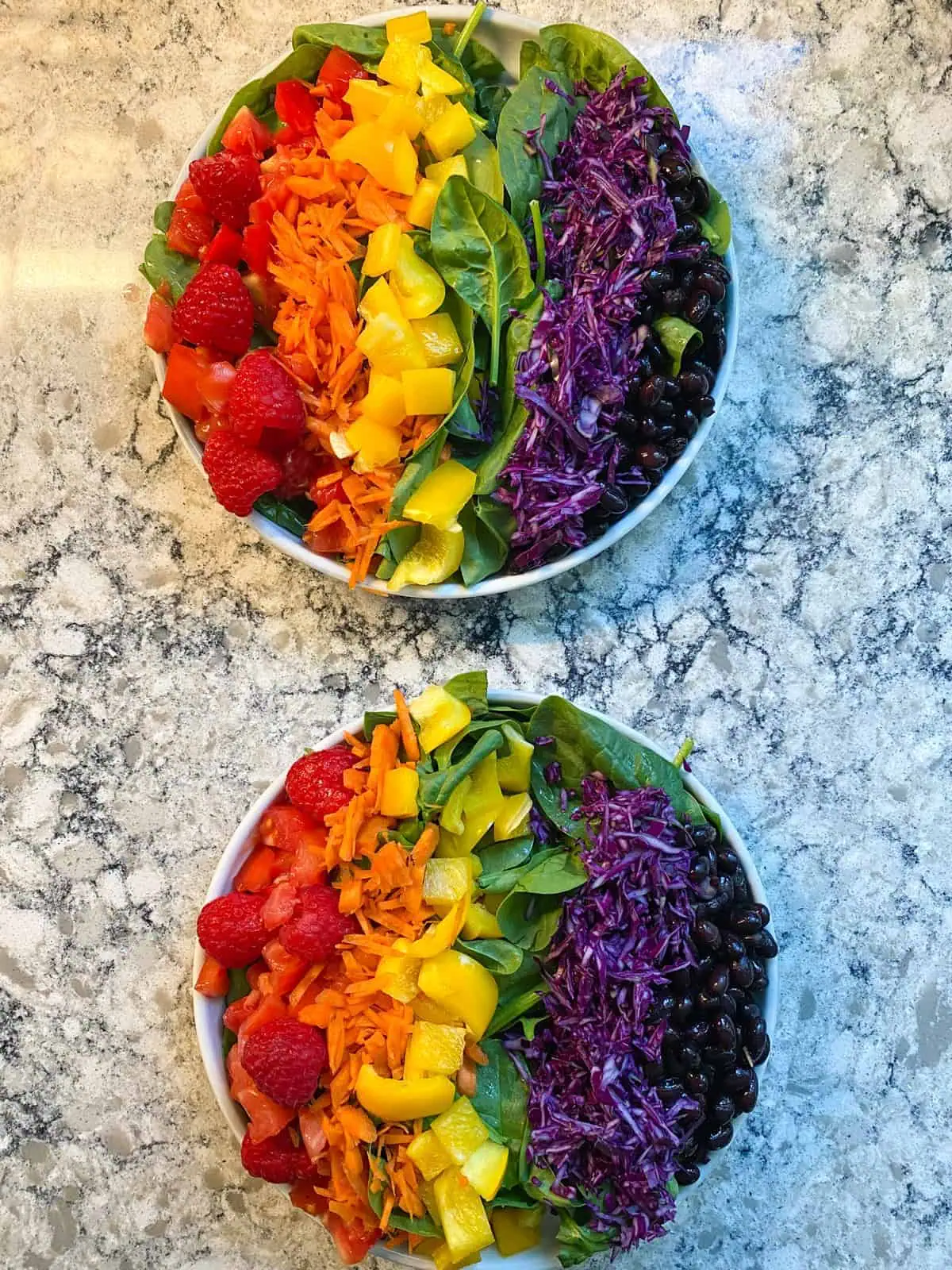 Two plates of salad with a column of purple cabbage added beside the black beans.