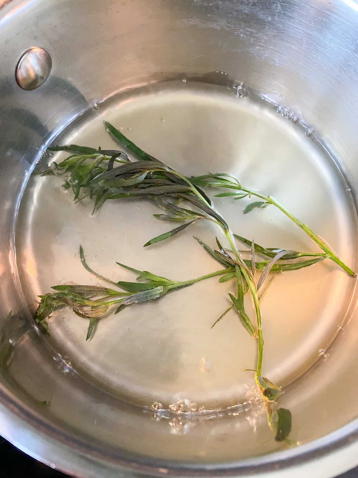 Liquid ingredients and fresh tarragon sprigs in a saucepan.