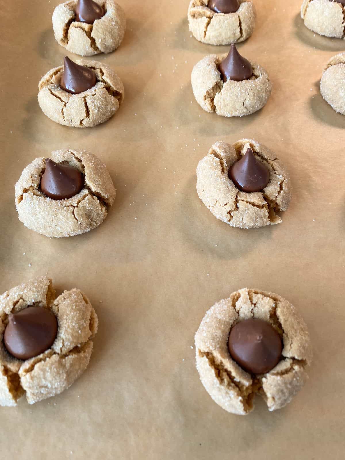 Completed cookies, with kisses pushed into the hot cookies.