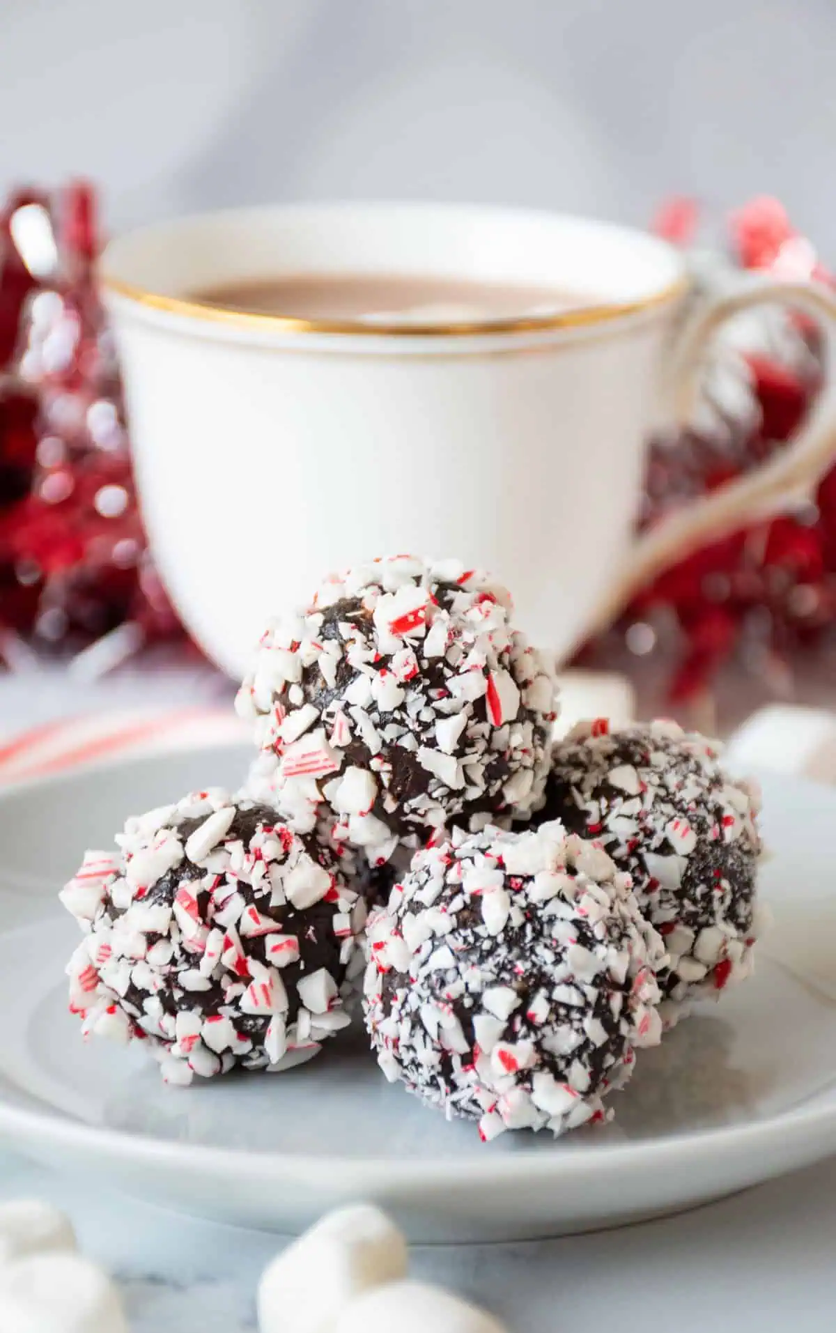 Small plate of peppermint hot cocoa bites.