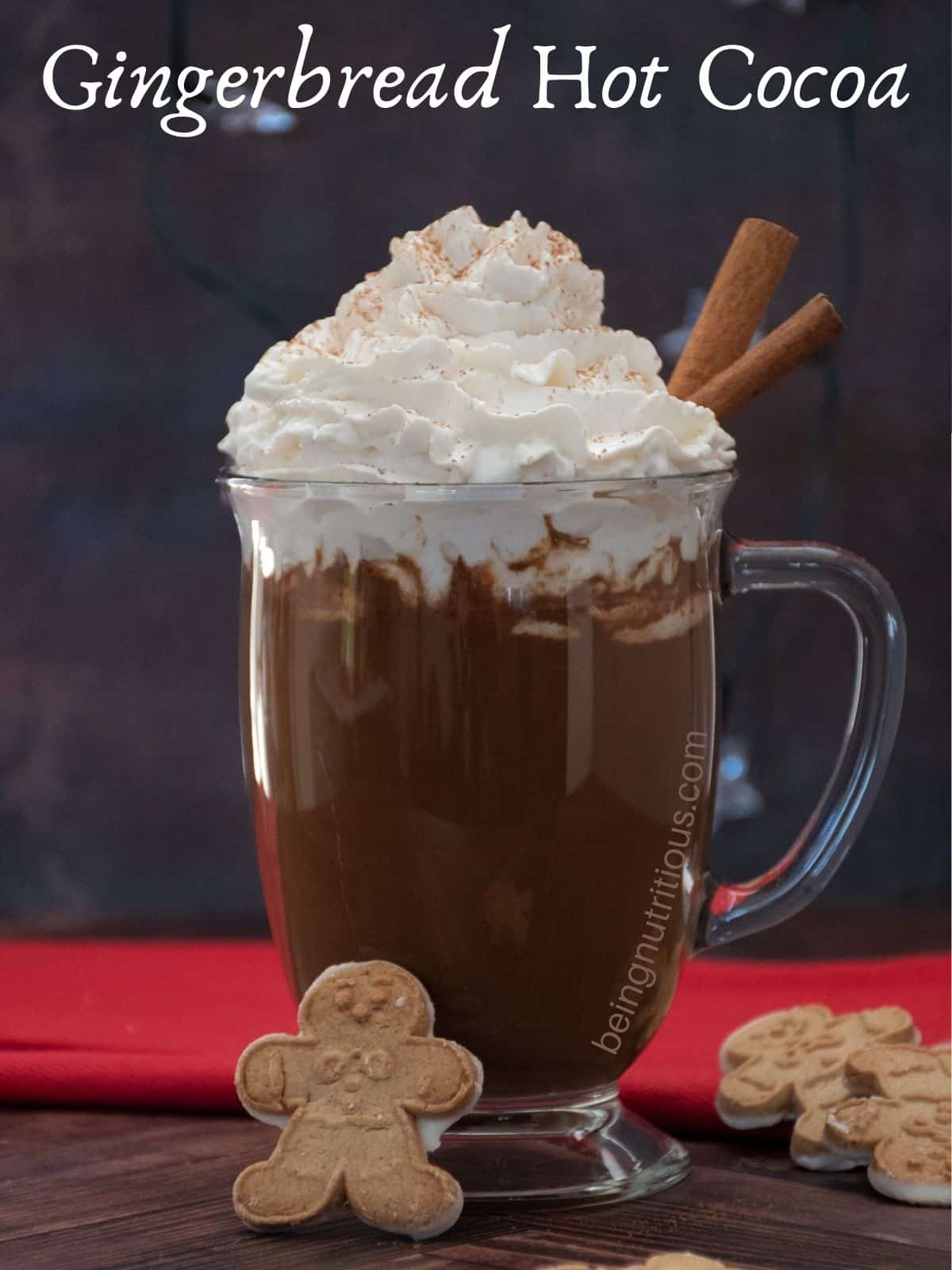 HGlass mug of hot cocoa, garnished with whipped cream and 2 cinnamon sticks. Small gingerbread cookies are scattered around the table. Text overlay: Gingerbread Hot Cocoa.