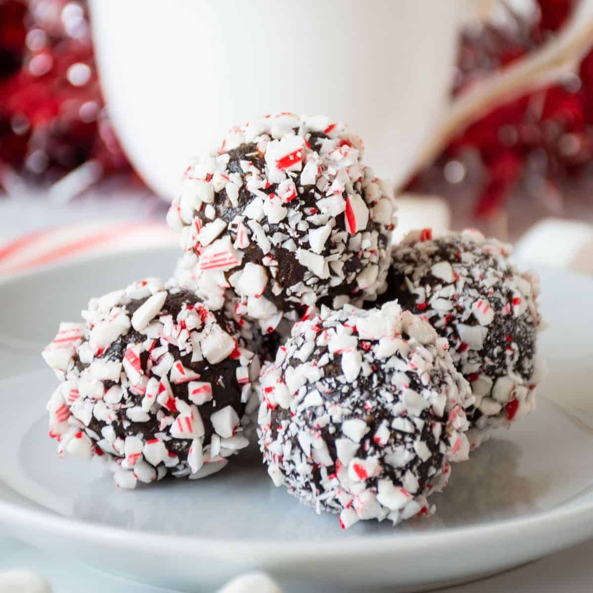 Small plate of peppermint hot cocoa bites.